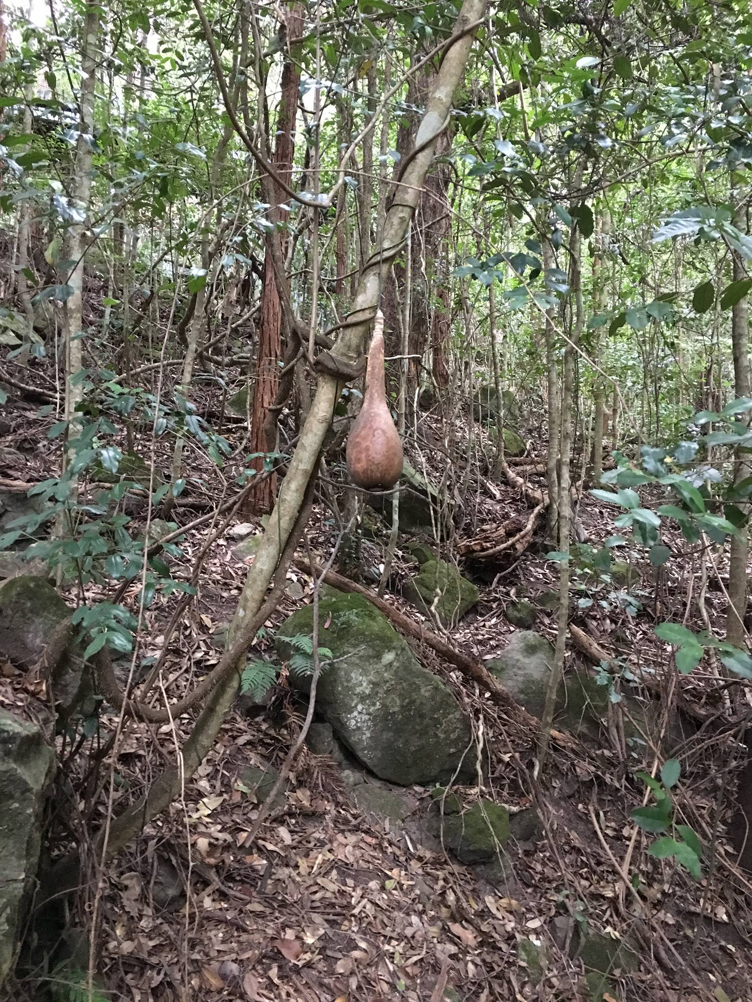 13173179_985545061528349_1883946596820855488_o