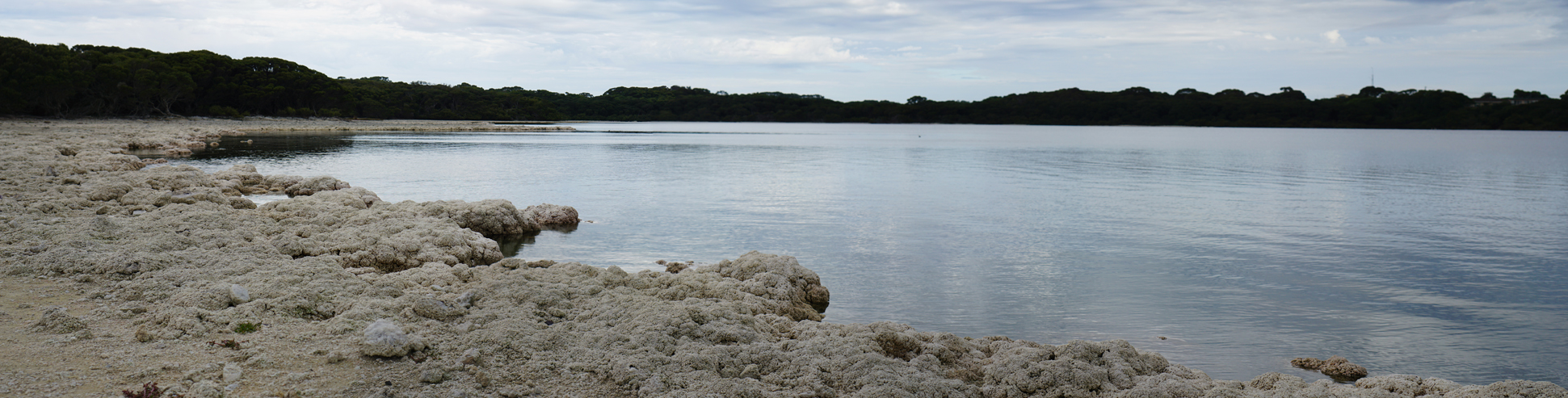 LastStretchOfGreatOceanRd2